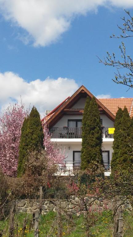 Апартаменты Kekturas-Tora Nyilo Badacsonyi Privat Berlemeny Бадачоньтомай Экстерьер фото